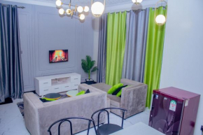 Luxury One Bedroom Apartment Kampala Oasis